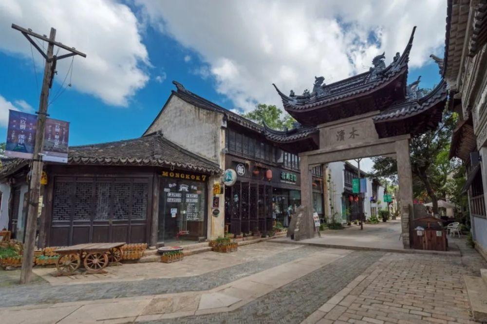 细胞分裂5